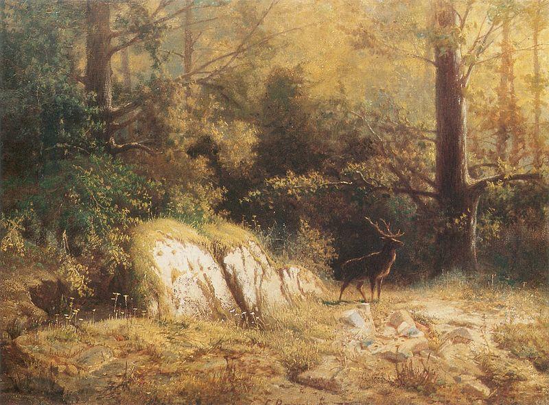 unknow artist Forest landscape with a deer France oil painting art